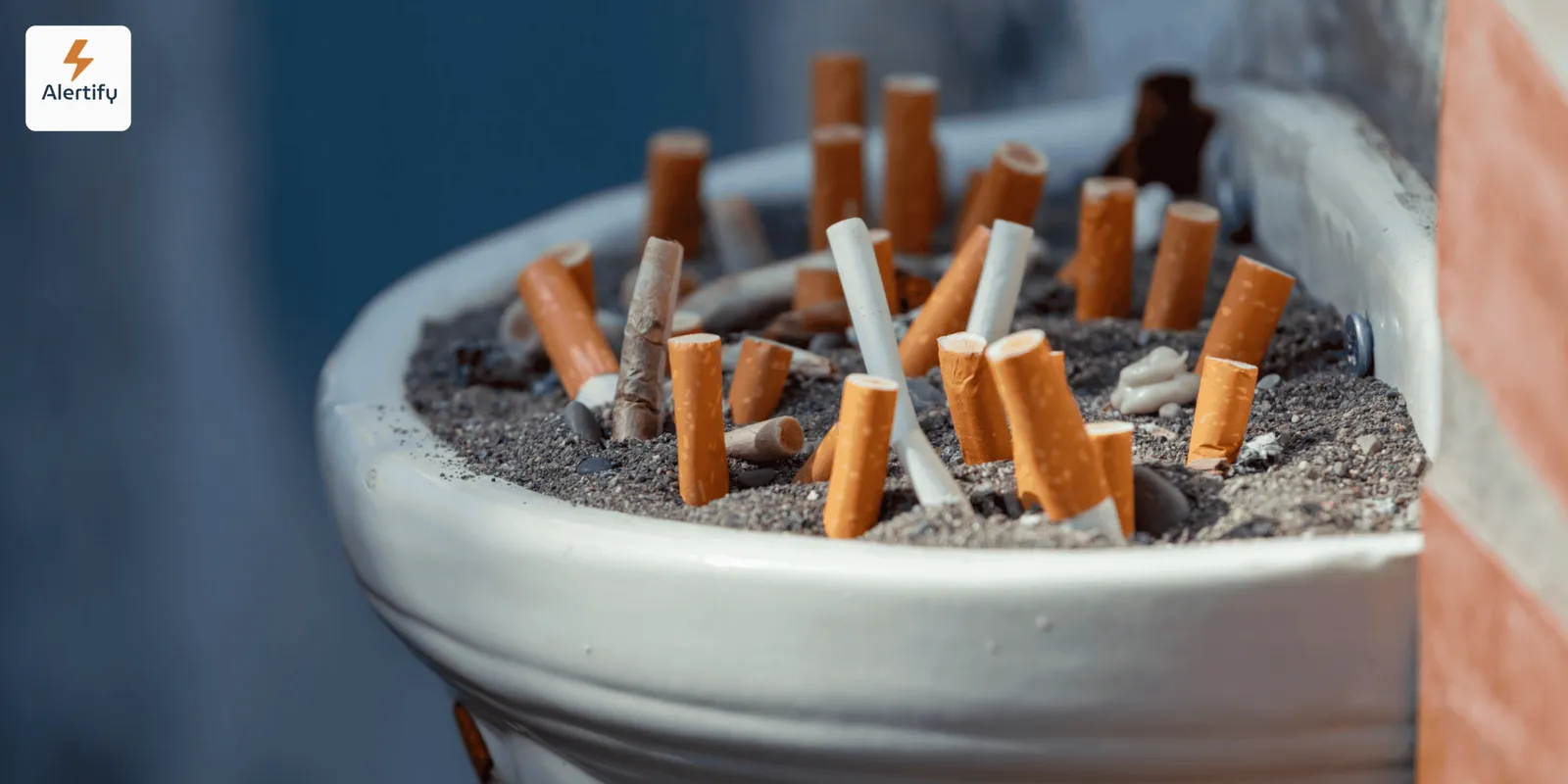 Aspetos Legais do Fumo em Alojamento Local: Direitos do Anfitrião e do Hóspede